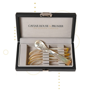 Coffret 6 cuillères