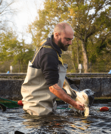 Bassin &agrave; esturgeons, Prunier Manufacture en Aquitaine