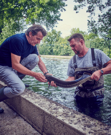 Yannick all&eacute;no Esturgeon Prunier Manufacture Aquitaine