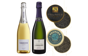 
			                        			Masterclass « Initiation»