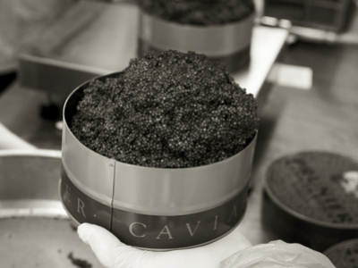 Preparing caviar: maturing